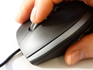 SEO and PPC